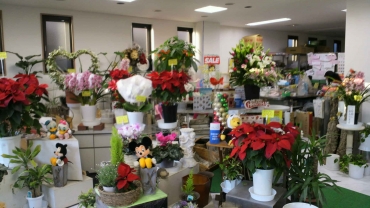 「花良」　（栃木県宇都宮市）の花屋店舗写真2